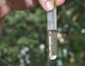 Secretaria de Saúde inicia primeiro levantamento de infestação do Aedes aegypti em 2020