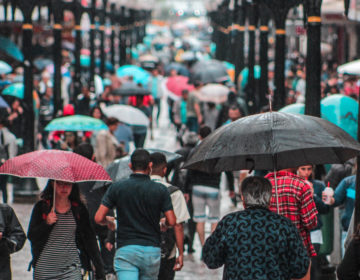 Câmara arrecada donativos para vítimas das chuvas em Juiz de Fora