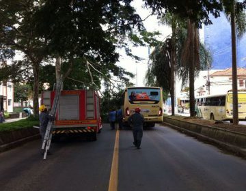 Árvore cai em cima de ônibus e prejudica trânsito na Avenida Rio Branco