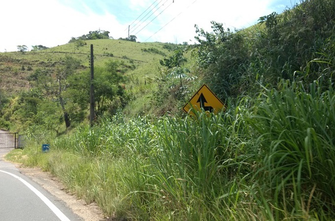 Vegetação cobre placas de sinalização da rodovia União Indústria