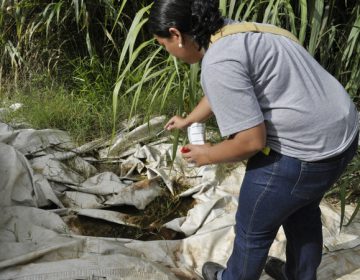 Agentes comunitários e de endemias reforçam ações contra dengue