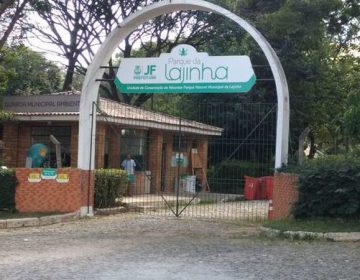 Parque da Lajinha é interditado após macacos serem encontrados mortos