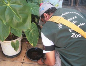 Secretaria de Estado de Saúde de Minas Gerais contabiliza 6.020 casos de chikungunya em 2017