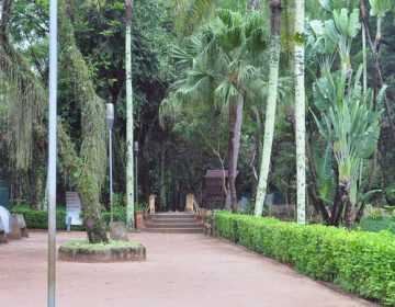 Parque do Museu é opção de lazer no Feriado