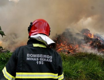Bombeiros combatem incêndio no Horto Florestal de Muriaé