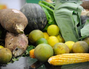 Cerca de 15% da população brasileira já consumiu algum alimento orgânico