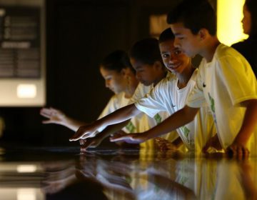 MUSEU SELEÇÃO BRASILEIRA ABERTO ÀS ESCOLAS PÚBLICAS