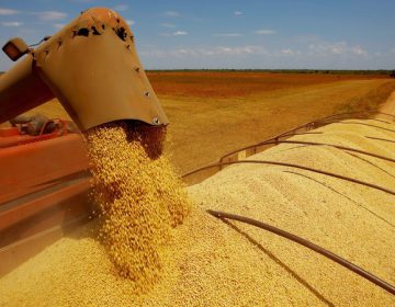 Governo começa a liberar recursos para financiar safra agrícola 2017/2018