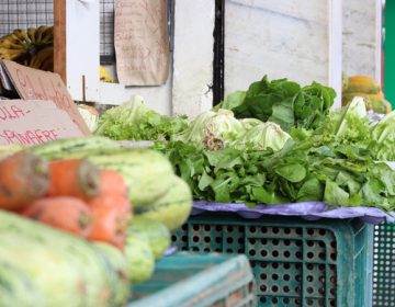 Alto índice de agrotóxicos em verduras e legumes pode causar contaminação aguda