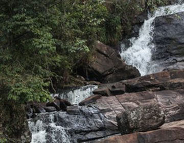 Parque Estadual da Serra do Brigadeiro