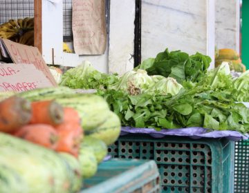 Alto índice de agrotóxicos em verduras e legumes pode causar contaminação aguda