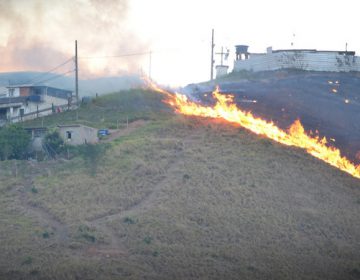 Cemig investe R$4 milhões em ações preventivas contra incêndios