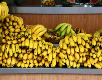 Banana tem queda de preço e recupera mercado no primeiro semestre