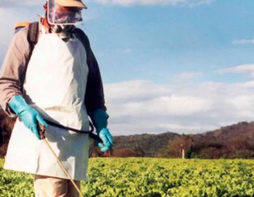 Estudos vão apontar caminhos para reduzir o uso de agrotóxicos no campo