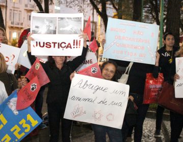 Protetores de animais pedem agilidade em julgamento de casos de maus tratos