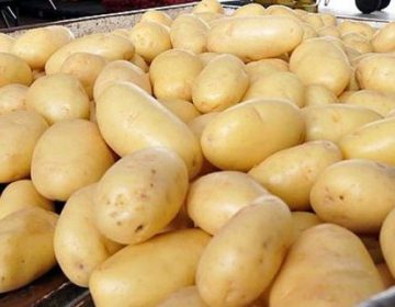 Batata-inglesa tem aumento de 19,08% nos comércios da cidade