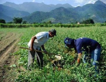 Prazo para agricultor familiar concorrer a edital da Conab vai até dia 23