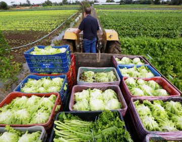 Governo muda regras para empréstimo a agricultores familiares