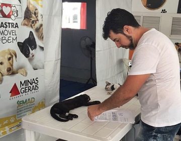 Cerca de 200 animais serão atendidos no Mutirão de Castração em Muriaé