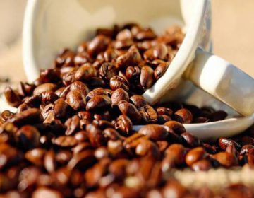 Conab estima produção de café em 2018 entre 21% e 30% superior ao ano passado