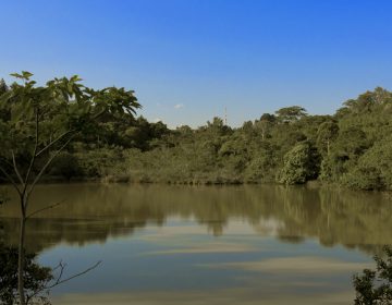 UFJF inicia instalação de cerca no Lago dos Manacás