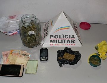 PM apreende plantação de maconha em residência de Muriaé