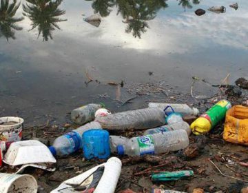 Campanha das Nações Unidas quer reduzir o uso de plásticos em todo o mundo