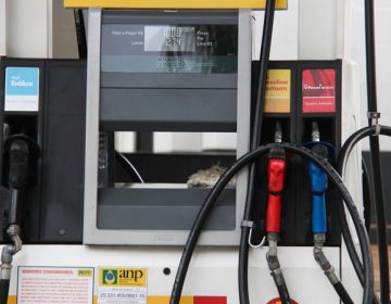 Petrobras anuncia mudanças na divulgação do preço da gasolina e do diesel