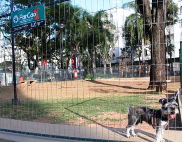 Projeto prevê que Parcão seja estabelecido em todas as praças da cidade