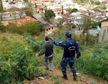 Guarda Municipal Ambiental divulga balanço semestral de ações