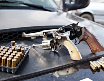 Mais de 80 armas em situação irregular foram apreendidas pela Polícia Militar em 2017