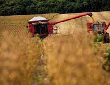 Valor da produção agropecuária brasileira deve ter queda de 5,2% em 2018