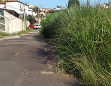 Moradores reclamam de mato e buracos no bairro Bom Clima