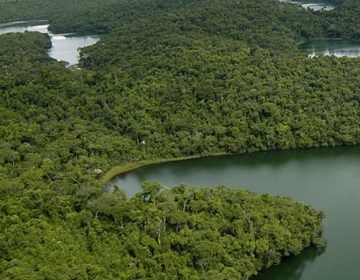 Fernando Pimentel anuncia criação de seis Unidades de Conservação em Minas Gerais