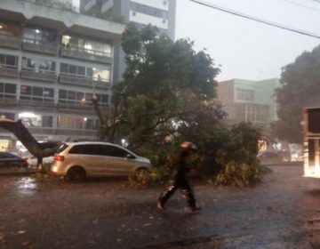 Tempestade provoca caos em vários bairros de Belo Horizonte