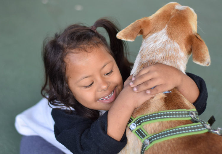 Projeto “Cãomarada” realiza primeiro dia de atividades na Apae