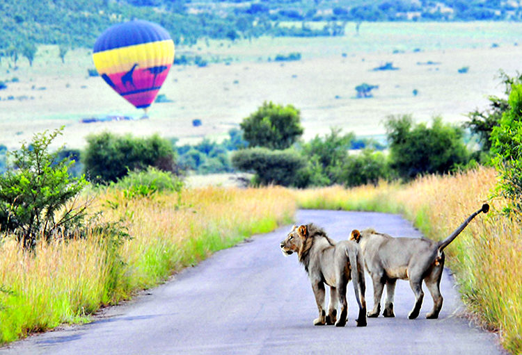 Ecoturismo – Conheça os tesouros naturais guardados pelo mundo