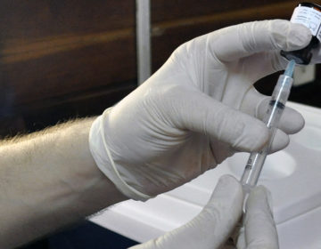 Juiz de Fora possui quase 40 casos de febre amarela confirmados