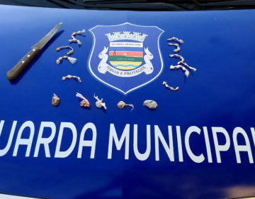 Irmãos são apreendidos com drogas em trilhas do Morro do Imperador