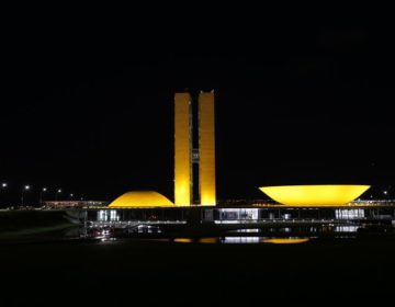 A cinco meses das eleições, Câmara e Senado trabalham em ritmo lento