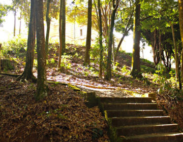 Museu Mariano Procópio reabre com novidades ao público