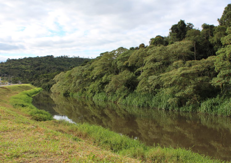 IEF inicia consulta pública sobre a criação do Parque Estadual da Mata do Krambeck