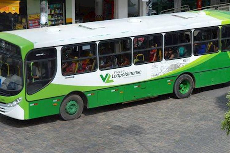 Legislativo de Leopoldina debaterá violência contra a mulher e transporte público municipal