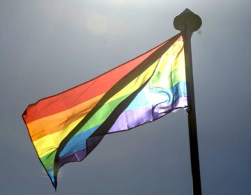 Projetos em debate no Senado ampliam direitos de homossexuais e pessoas trans