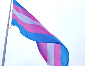 Decisão da OMS sobre identidade trans é vista como avanço pela comunidade