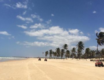 Fuja do frio e conheça as belezas naturais das praias no Ceará