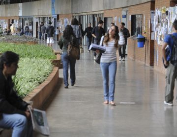 MEC libera R$ 734 milhões para instituições federais de ensino