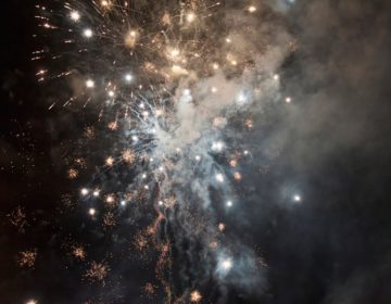 Cidadão sugere proibição de fogos de artifício com ruído