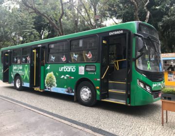 Comissão de Meio Ambiente distribui mudas de plantas em homenagem ao Junho Verde