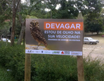 Avenida Prefeito Mello Rei recebe placas educativas sobre travessia de animais silvestres